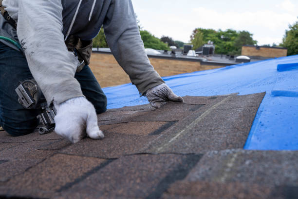Professional Roofing Contractor in Inverness, IL