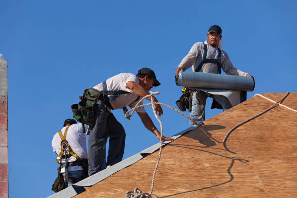 Best Roof Waterproofing Services  in Inverness, IL