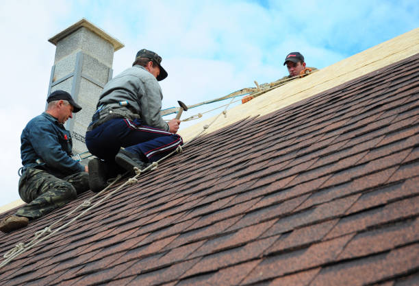 Best Storm Damage Roof Repair  in Inverness, IL